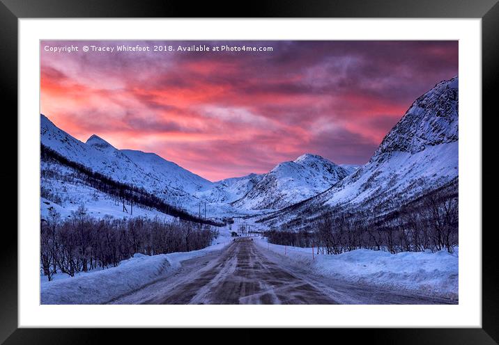 The Road to Lofoten Framed Mounted Print by Tracey Whitefoot