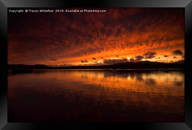 A Mirrored Sunset  Framed Print by Tracey Whitefoot