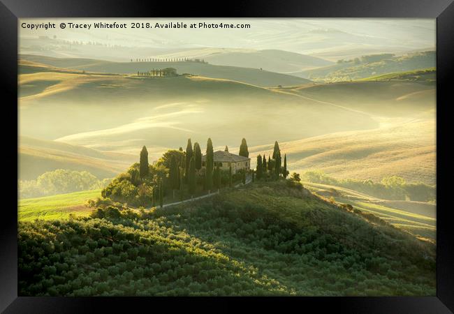 A Tuscan Classic  Framed Print by Tracey Whitefoot
