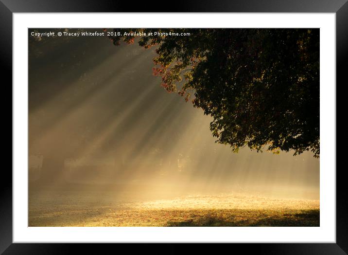 Raining Light  Framed Mounted Print by Tracey Whitefoot