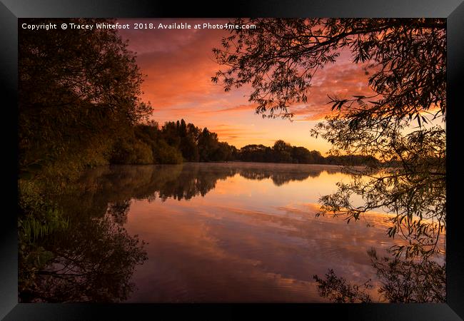 Colwick Sunrise  Framed Print by Tracey Whitefoot