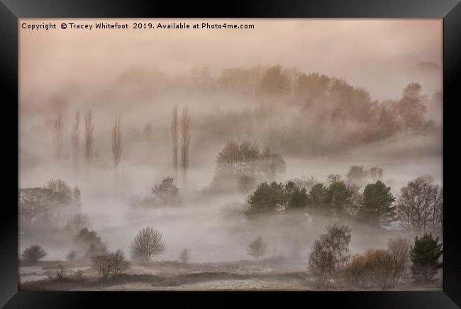 Lost in the Mist  Framed Print by Tracey Whitefoot