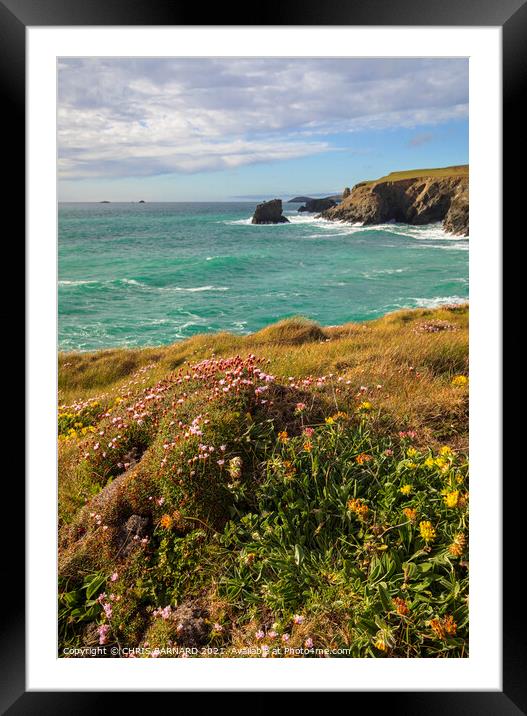 Spring Flowers Porthcothan Bay Framed Mounted Print by CHRIS BARNARD