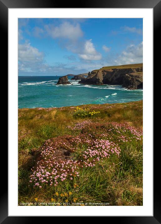 Porthcothan Coastal Flowers Framed Mounted Print by CHRIS BARNARD