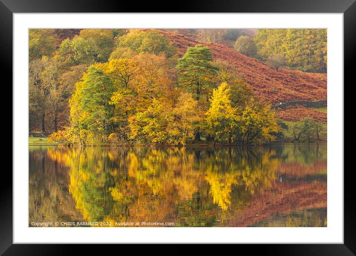 Autumn on Rydal Water Framed Mounted Print by CHRIS BARNARD