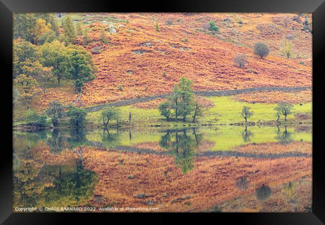 Rydal Water Reflections Framed Print by CHRIS BARNARD