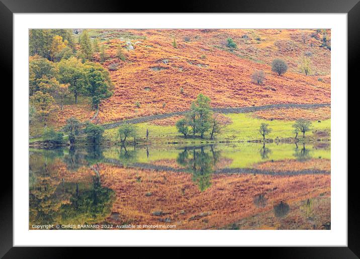 Rydal Water Reflections Framed Mounted Print by CHRIS BARNARD