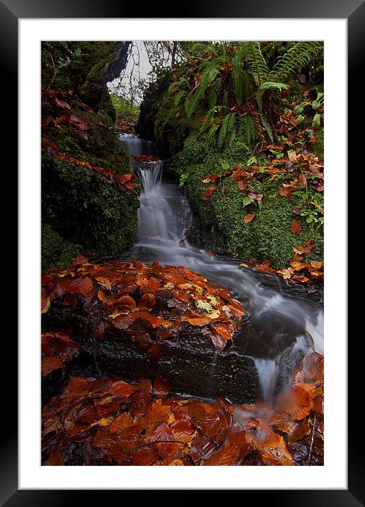 Waterfall In The Woods Framed Mounted Print by CHRIS BARNARD