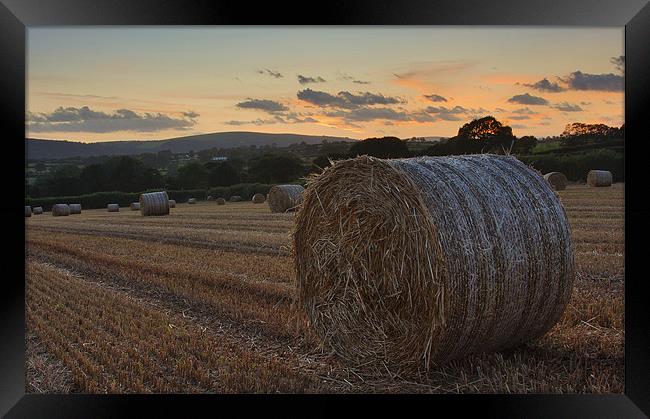 The Straw Bales Framed Print by CHRIS BARNARD