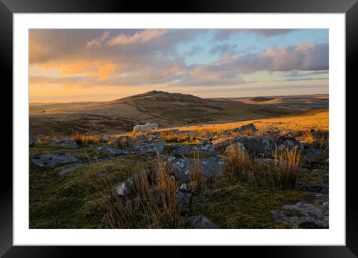 Sunrise on Showery Tor on Bodmin Moor Framed Mounted Print by CHRIS BARNARD