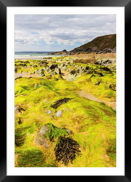 Poldark's Dollar Cove Framed Mounted Print by CHRIS BARNARD