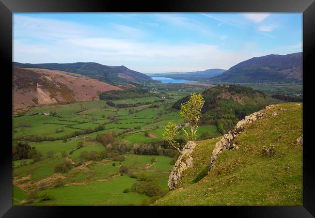 Newlands Valley Framed Print by CHRIS BARNARD