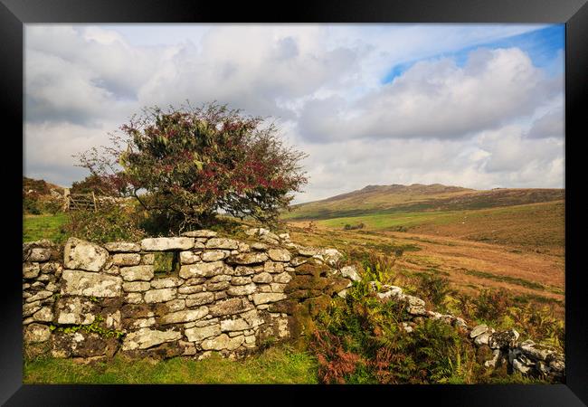 Moorland View Framed Print by CHRIS BARNARD