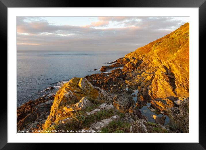 Early morning light on the coast at Polperro Cornwall Framed Mounted Print by CHRIS BARNARD