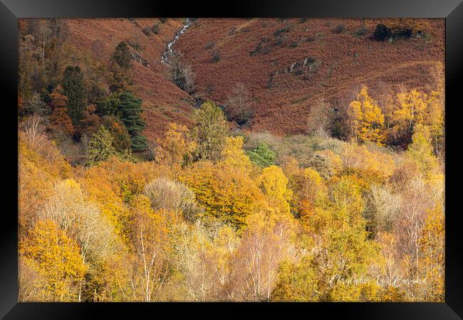 Autumn Colours Lake District Framed Print by CHRIS BARNARD
