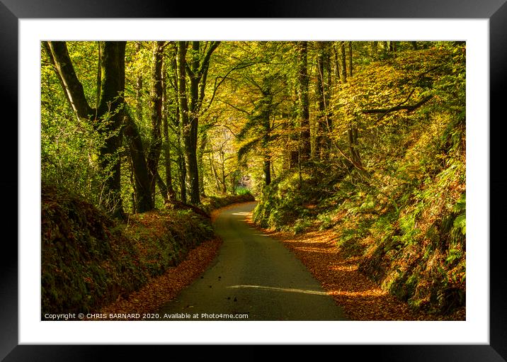 Autumn in Cornwall Framed Mounted Print by CHRIS BARNARD