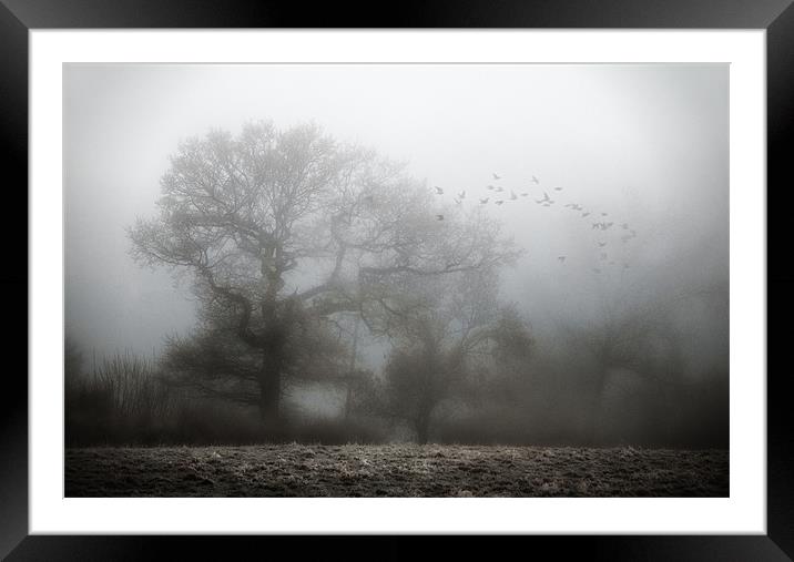 Misty Morning Framed Mounted Print by steve weston