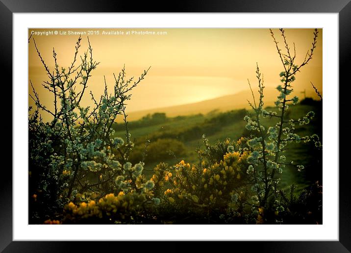  Sunset Overlooking West Bay Framed Mounted Print by Liz Shewan