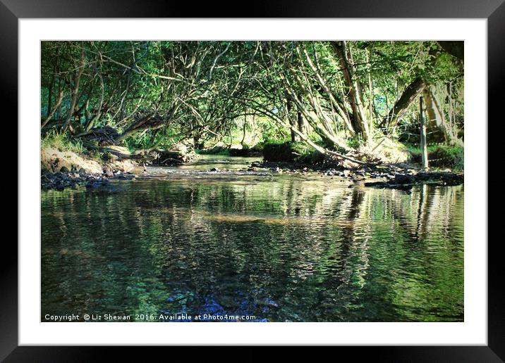 The Secret Place, Magical Moments and Reflections Framed Mounted Print by Liz Shewan