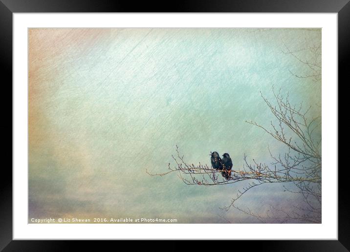 Crow Watch Lovers - artsy style Framed Mounted Print by Liz Shewan