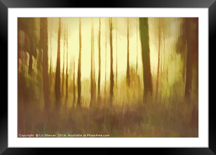Magical Woodland Shining Light Framed Mounted Print by Liz Shewan