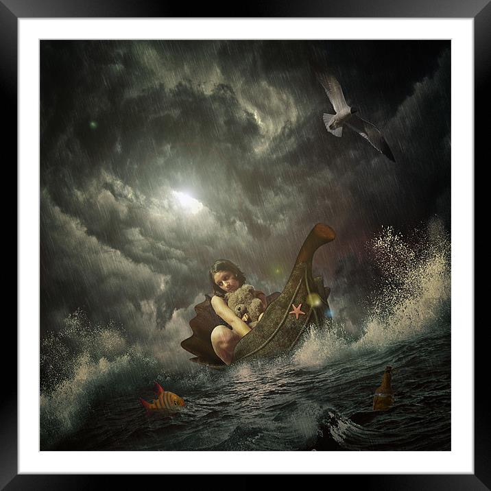 Norah's Ark Framed Mounted Print by Paul Cook