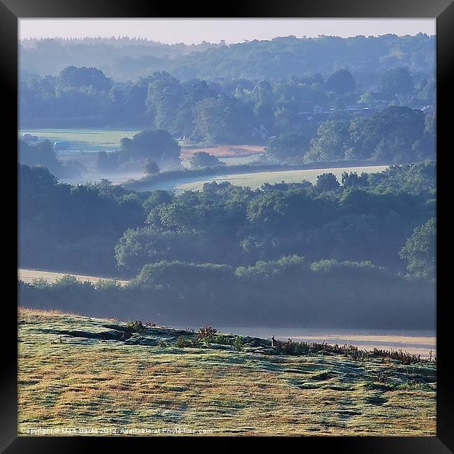 A Rabbits View Framed Print by Mark  F Banks