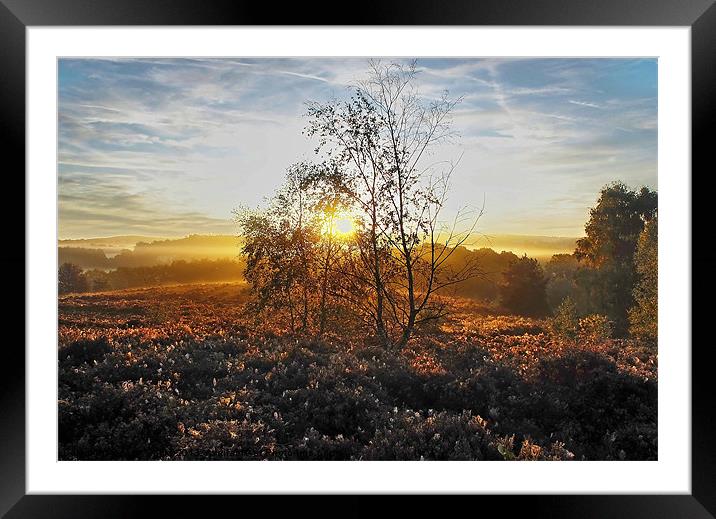 Light and Shade Framed Mounted Print by Mark  F Banks