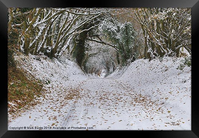 Frensham Lane Framed Print by Mark  F Banks