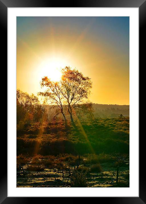 Early Morning Light Framed Mounted Print by Mark  F Banks