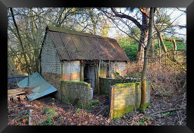 Deserted Shed Framed Print by Mark  F Banks