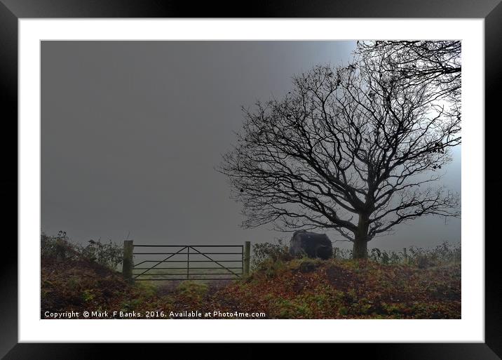 Farm Yard Gate in the Mist Framed Mounted Print by Mark  F Banks