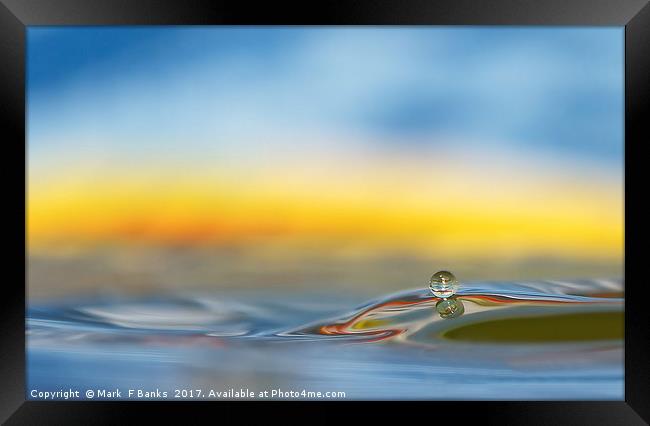 Water Droplet Framed Print by Mark  F Banks