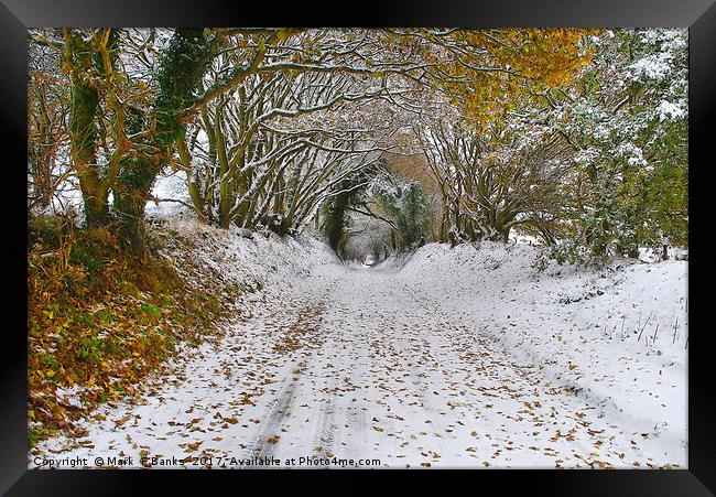 Looking Down Frensham Lane Framed Print by Mark  F Banks