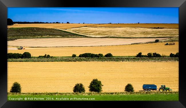 Avebury Harvest Framed Print by Rob Perrett