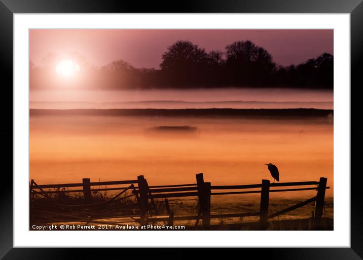 Heron In The Mist Framed Mounted Print by Rob Perrett