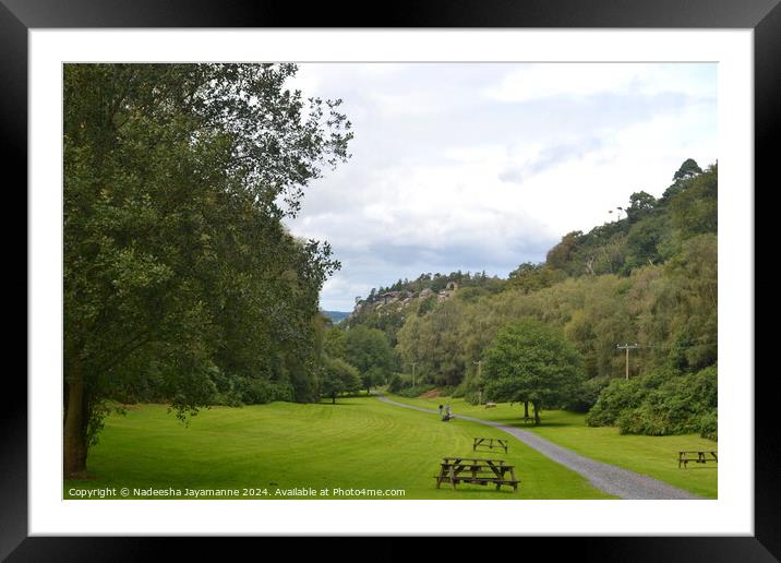 Outdoor grass Framed Mounted Print by Nadeesha Jayamanne