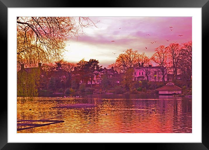 Golden Autumn!!! Framed Mounted Print by Nadeesha Jayamanne