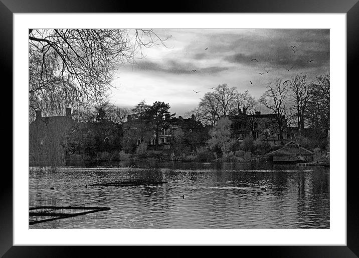 Lake in Aboretum park.. Framed Mounted Print by Nadeesha Jayamanne