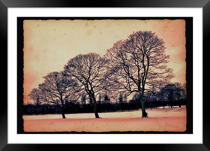 Winter arts in my park.. Framed Mounted Print by Nadeesha Jayamanne