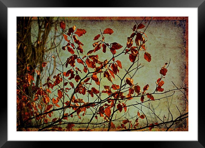 Lovely dry leaves.. Framed Mounted Print by Nadeesha Jayamanne