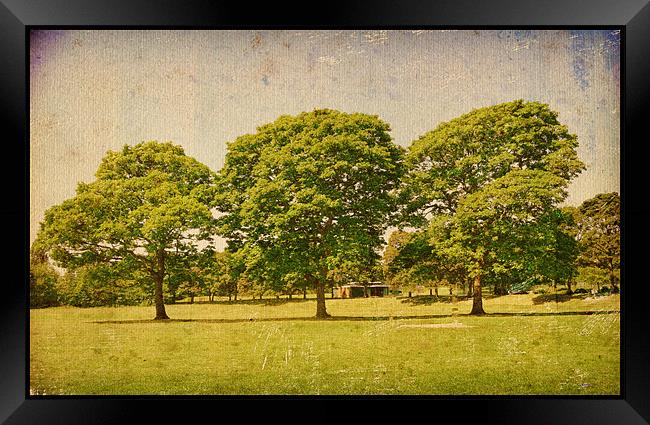 Beautiful Green Trees!! Framed Print by Nadeesha Jayamanne