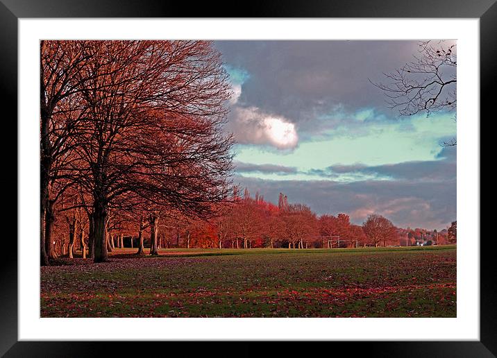 Autumn view!!! Framed Mounted Print by Nadeesha Jayamanne