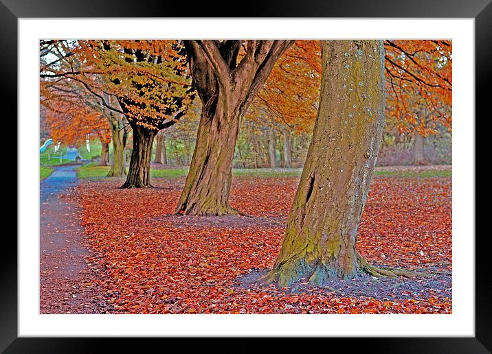 Autumn Trees III Framed Mounted Print by Nadeesha Jayamanne