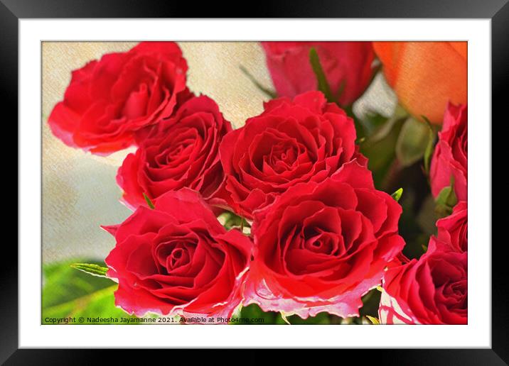 Red roses! Framed Mounted Print by Nadeesha Jayamanne