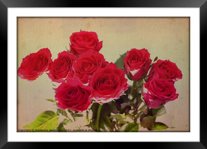 Red roses! Framed Mounted Print by Nadeesha Jayamanne