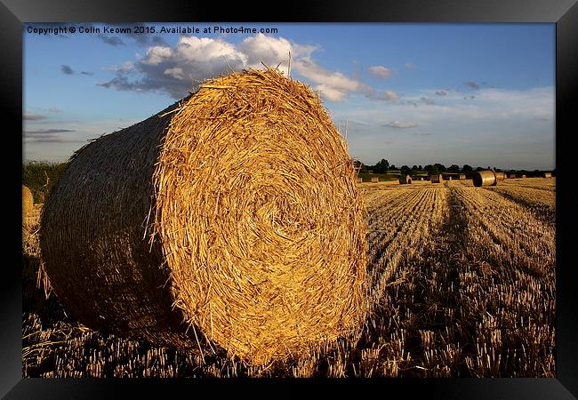  Hay Bail Framed Print by Colin Keown