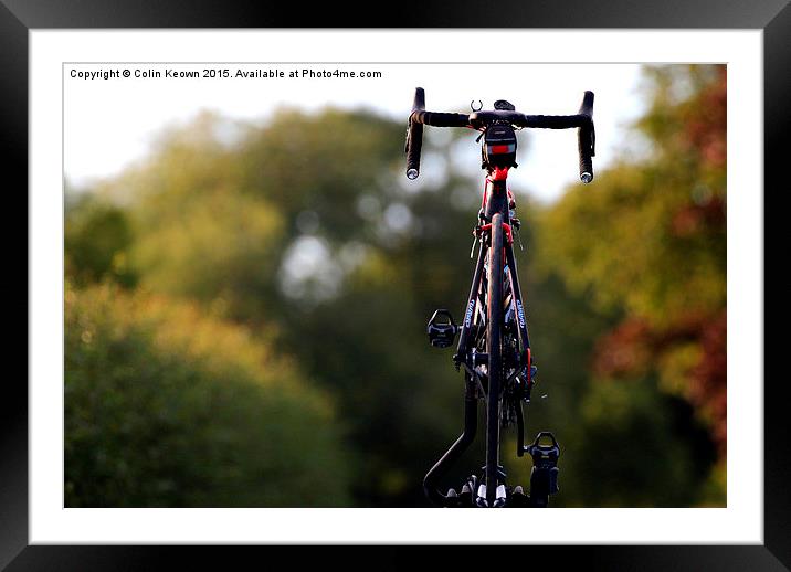  Wilier Trestina Road Bike Framed Mounted Print by Colin Keown