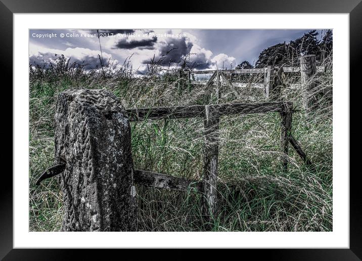 Old Gate Framed Mounted Print by Colin Keown