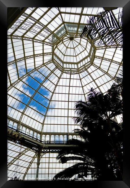 Palm House Framed Print by Colin Keown